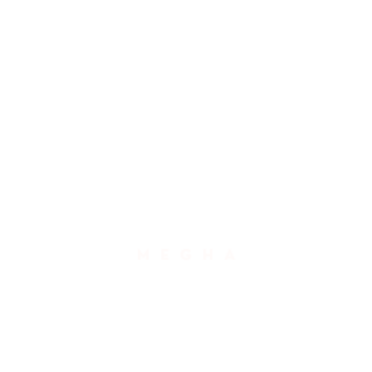 Megha Digital Marketer